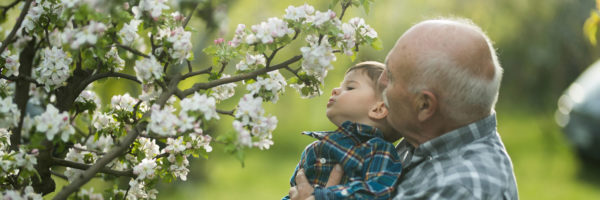 grandfather holding grandson up to flowers to smell them