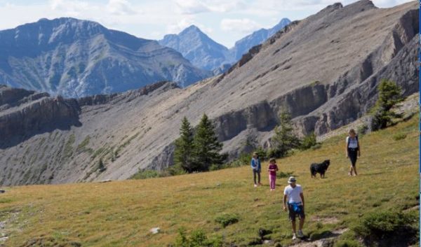 family hiking through Colorado mountains with dog